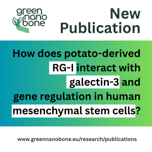First GreenNanoBone Study Reveals that Modifying Rhamnogalacturonan-I (RG-I) First GreenNanoBone Study Reveals that Modifying Rhamnogalacturonan-I (RG-I)